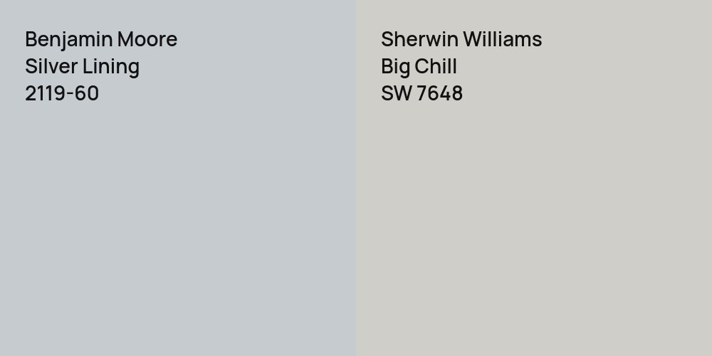 Benjamin Moore Silver Lining vs. Sherwin Williams Big Chill