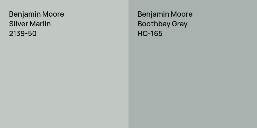 Benjamin Moore Silver Marlin vs. Benjamin Moore Boothbay Gray