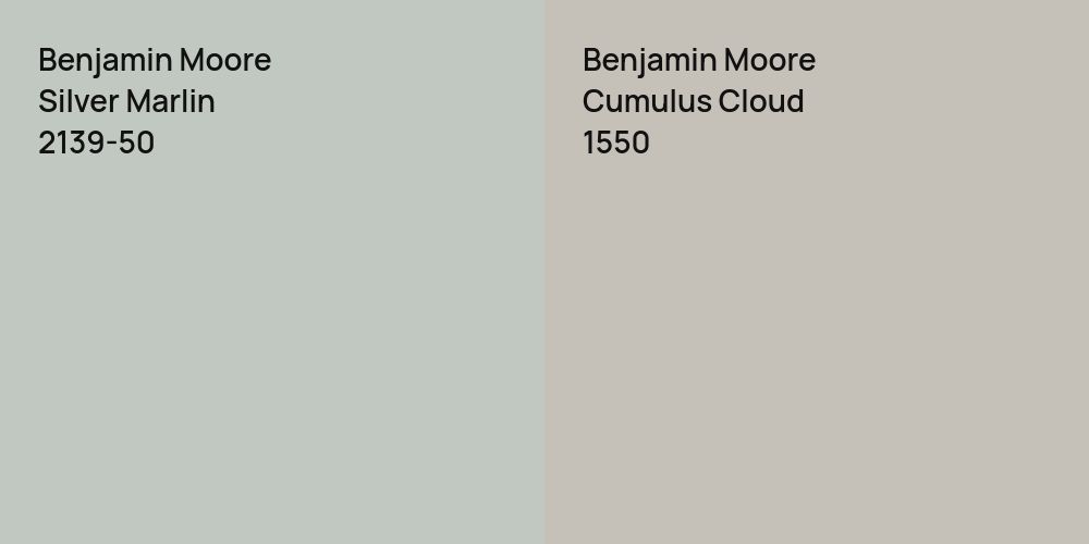 Benjamin Moore Silver Marlin vs. Benjamin Moore Cumulus Cloud