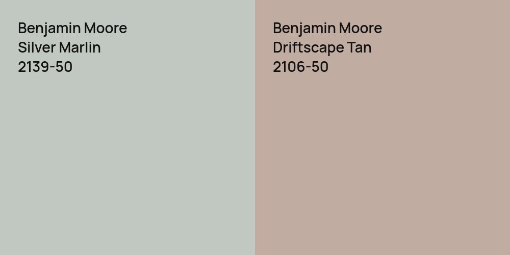 Benjamin Moore Silver Marlin vs. Benjamin Moore Driftscape Tan