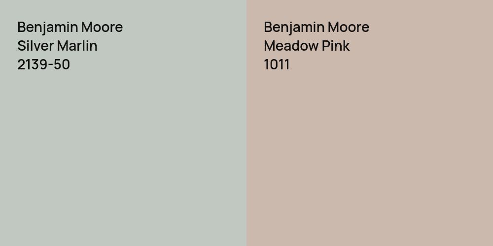 Benjamin Moore Silver Marlin vs. Benjamin Moore Meadow Pink