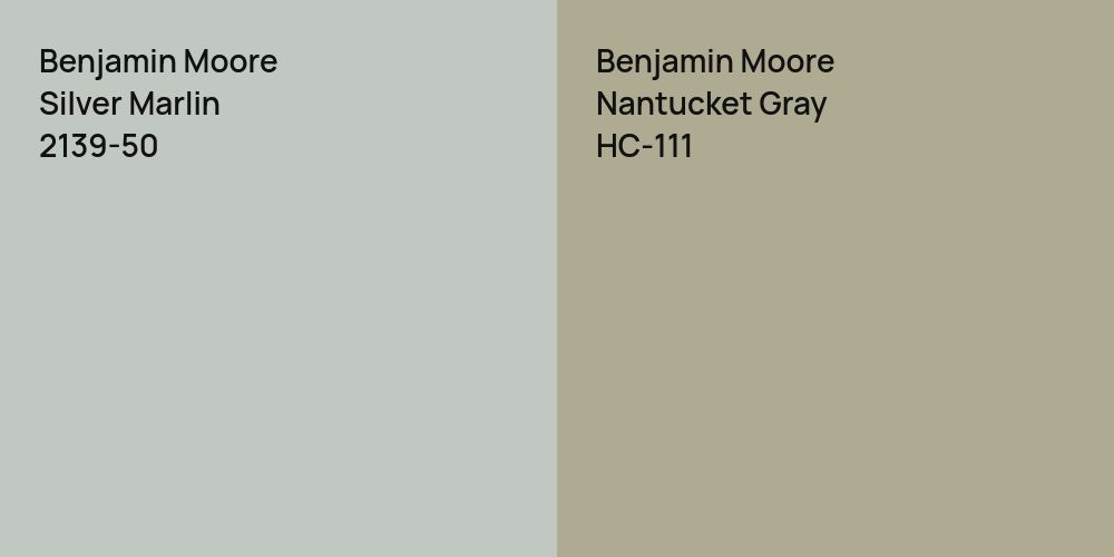 Benjamin Moore Silver Marlin vs. Benjamin Moore Nantucket Gray