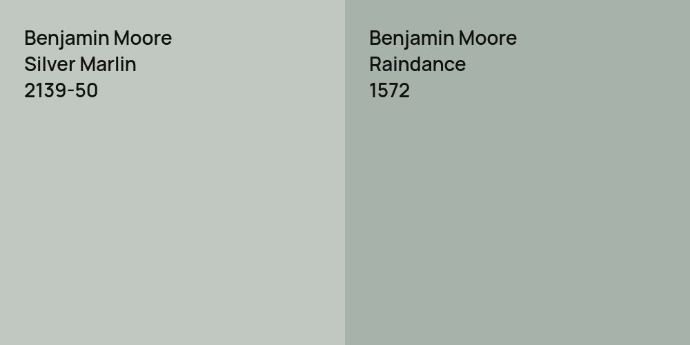 Benjamin Moore Silver Marlin vs. Benjamin Moore Raindance