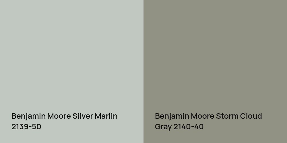 Benjamin Moore Silver Marlin vs. Benjamin Moore Storm Cloud Gray