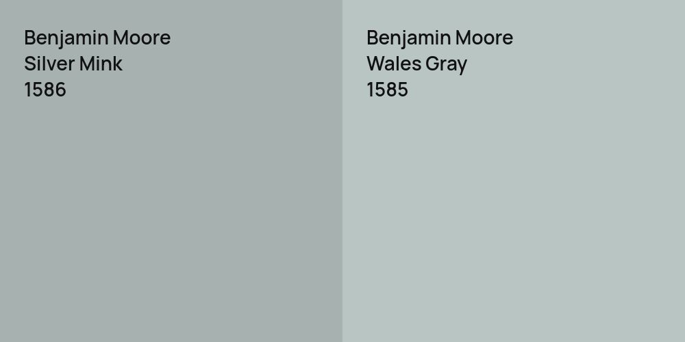 Benjamin Moore Silver Mink vs. Benjamin Moore Wales Gray