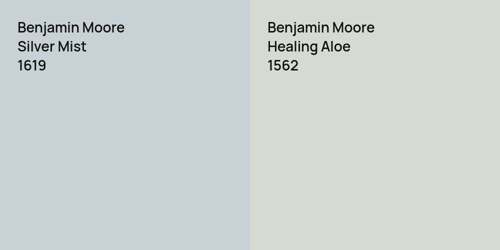 Benjamin Moore Silver Mist vs. Benjamin Moore Healing Aloe