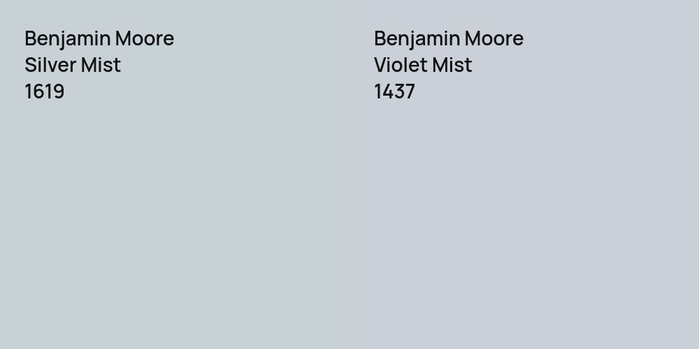 Benjamin Moore Silver Mist vs. Benjamin Moore Violet Mist