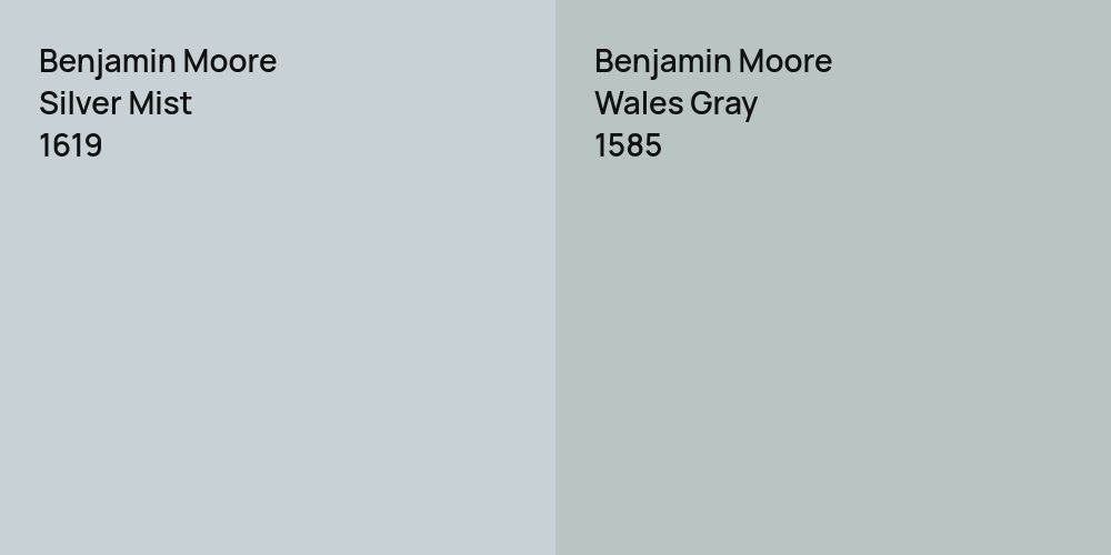 Benjamin Moore Silver Mist vs. Benjamin Moore Wales Gray