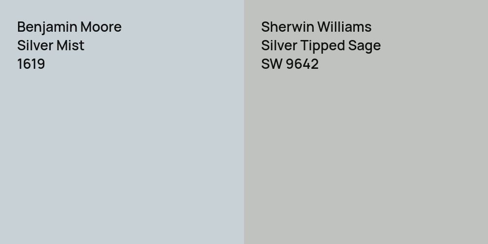 Benjamin Moore Silver Mist vs. Sherwin Williams Silver Tipped Sage