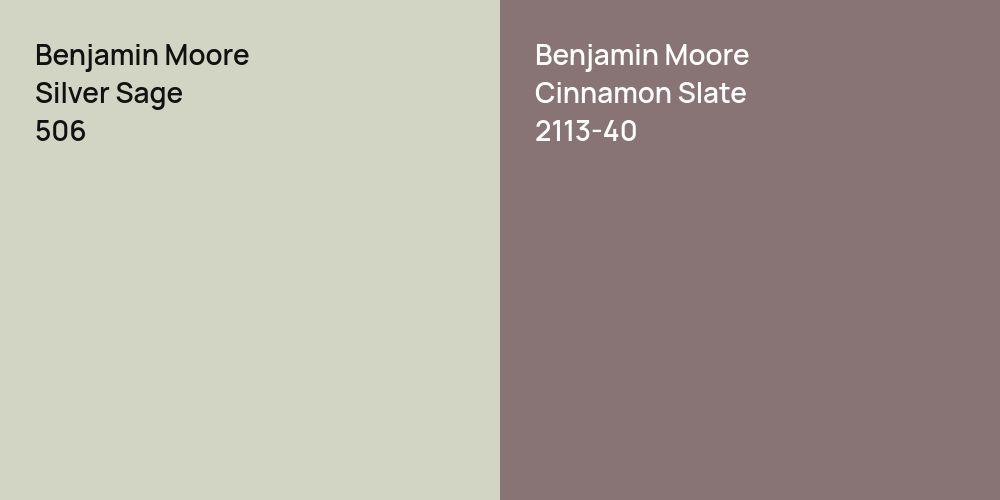 Benjamin Moore Silver Sage vs. Benjamin Moore Cinnamon Slate