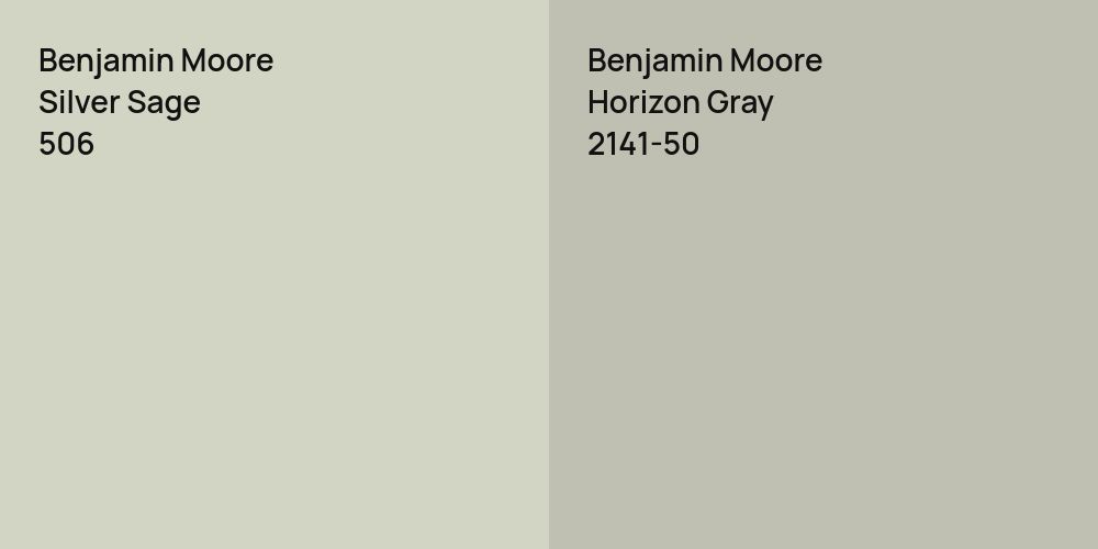 Benjamin Moore Silver Sage vs. Benjamin Moore Horizon Gray