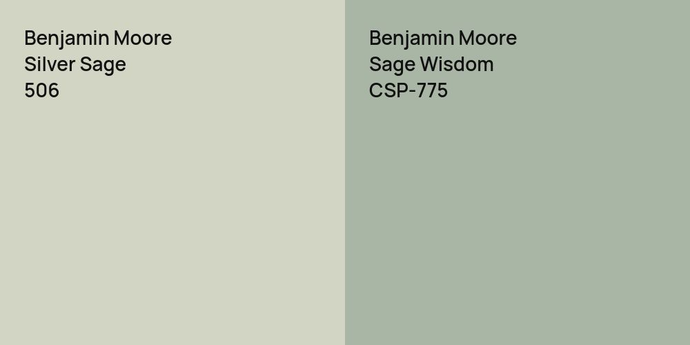 Benjamin Moore Silver Sage vs. Benjamin Moore Sage Wisdom