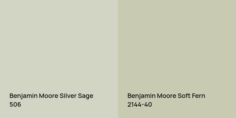 Benjamin Moore Silver Sage vs. Benjamin Moore Soft Fern