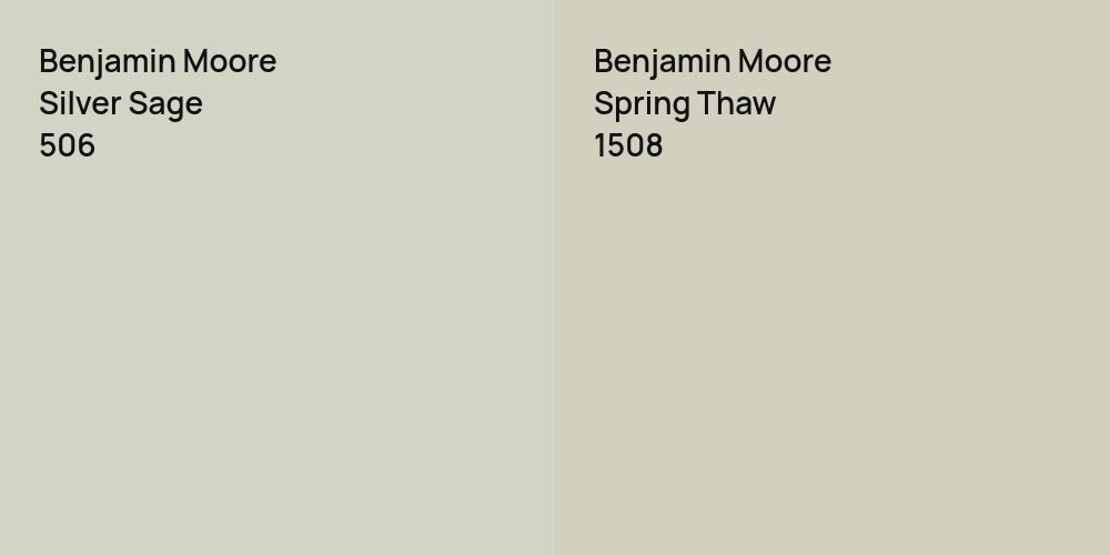 Benjamin Moore Silver Sage vs. Benjamin Moore Spring Thaw