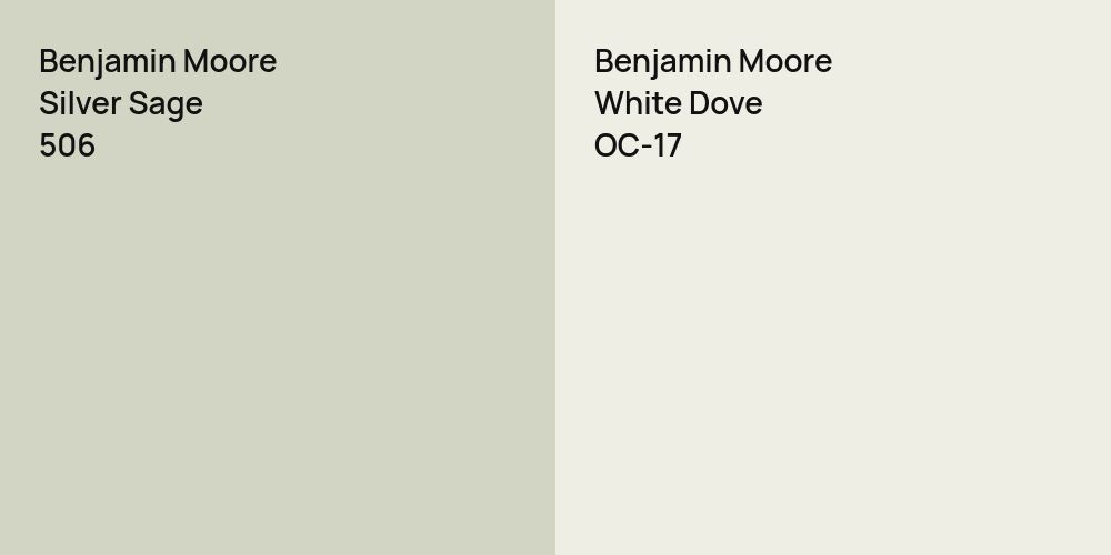 Benjamin Moore Silver Sage vs. Benjamin Moore White Dove