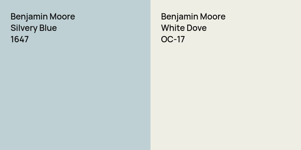 Benjamin Moore Silvery Blue vs. Benjamin Moore White Dove