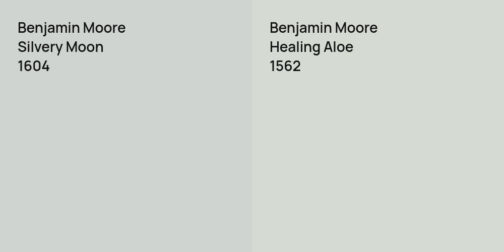 Benjamin Moore Silvery Moon vs. Benjamin Moore Healing Aloe