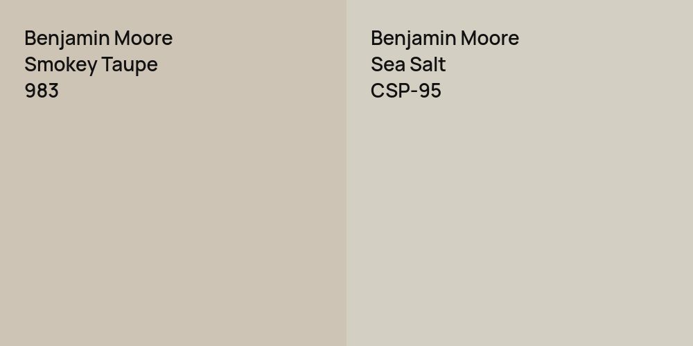 Benjamin Moore Smokey Taupe vs. Benjamin Moore Sea Salt