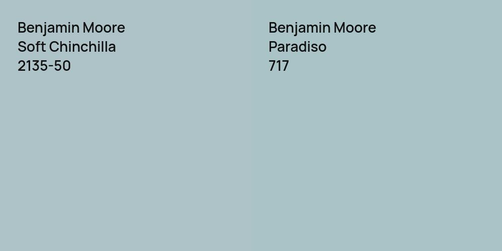 Benjamin Moore Soft Chinchilla vs. Benjamin Moore Paradiso