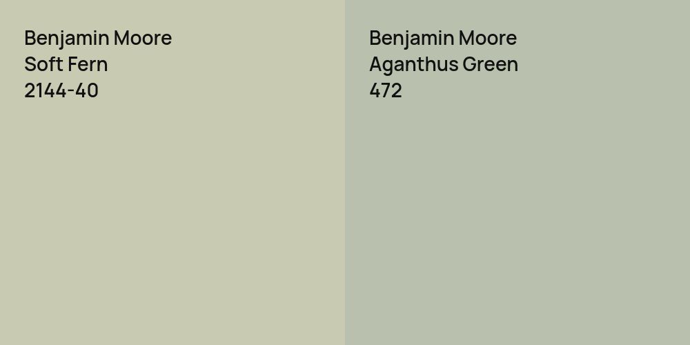 Benjamin Moore Soft Fern vs. Benjamin Moore Aganthus Green