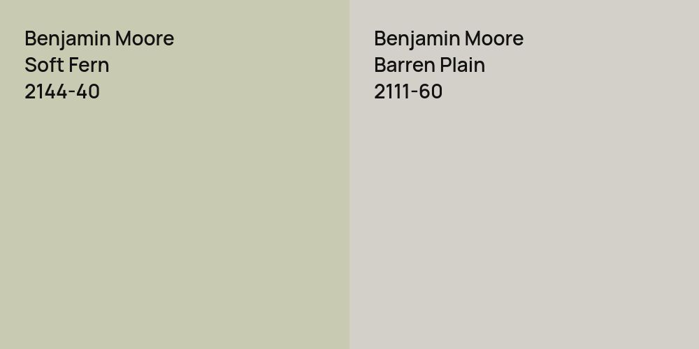 Benjamin Moore Soft Fern vs. Benjamin Moore Barren Plain