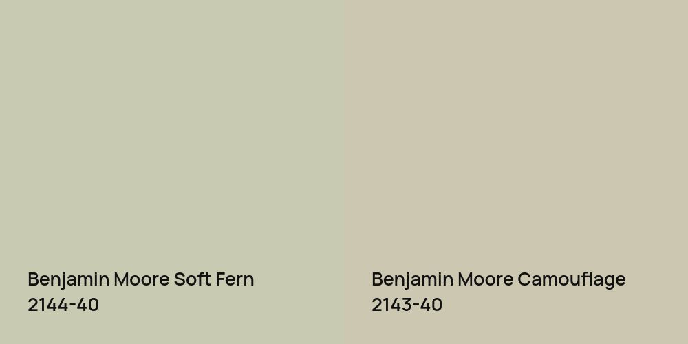 Benjamin Moore Soft Fern vs. Benjamin Moore Camouflage