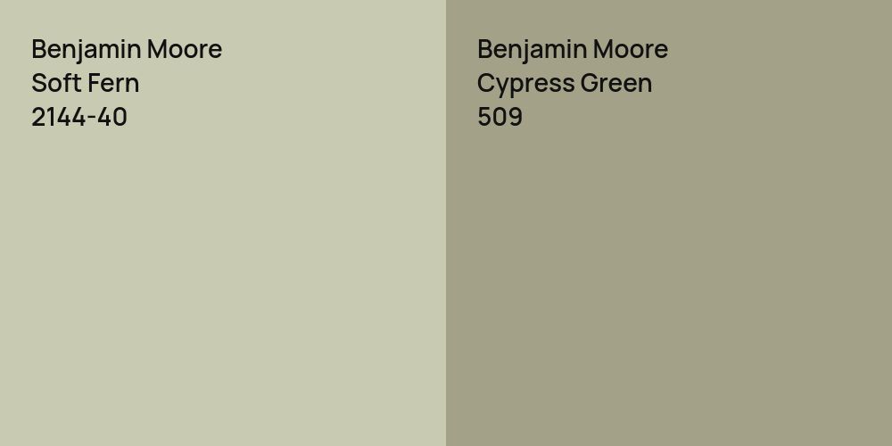 Benjamin Moore Soft Fern vs. Benjamin Moore Cypress Green