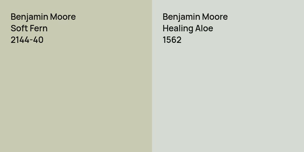 Benjamin Moore Soft Fern vs. Benjamin Moore Healing Aloe