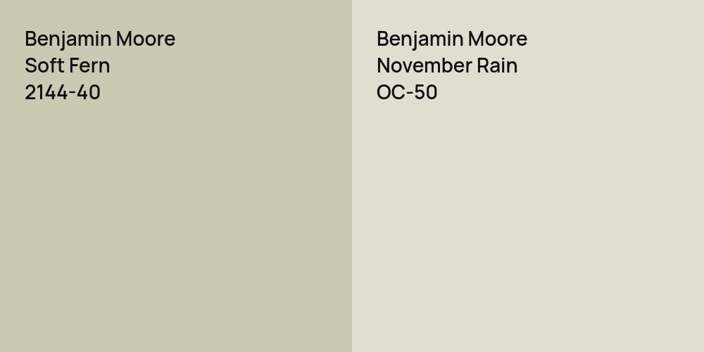 Benjamin Moore Soft Fern vs. Benjamin Moore November Rain