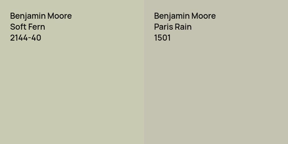 Benjamin Moore Soft Fern vs. Benjamin Moore Paris Rain