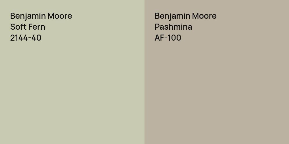 Benjamin Moore Soft Fern vs. Benjamin Moore Pashmina