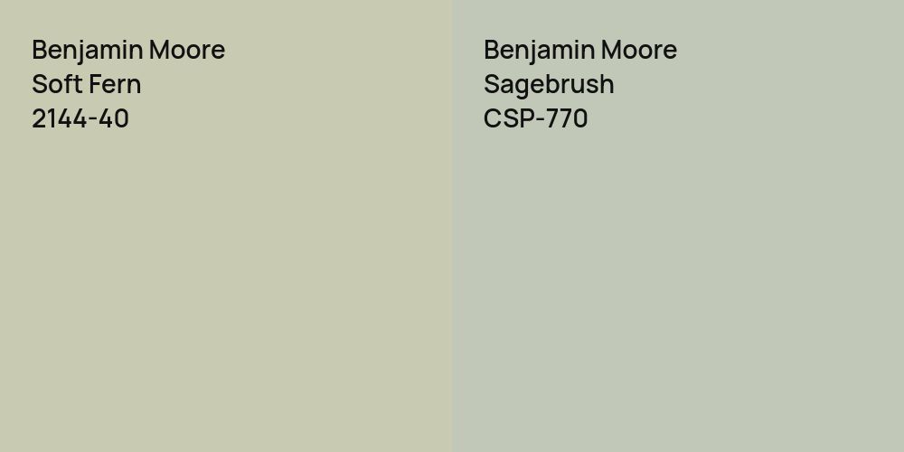 Benjamin Moore Soft Fern vs. Benjamin Moore Sagebrush