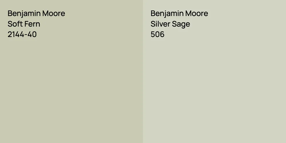 Benjamin Moore Soft Fern vs. Benjamin Moore Silver Sage