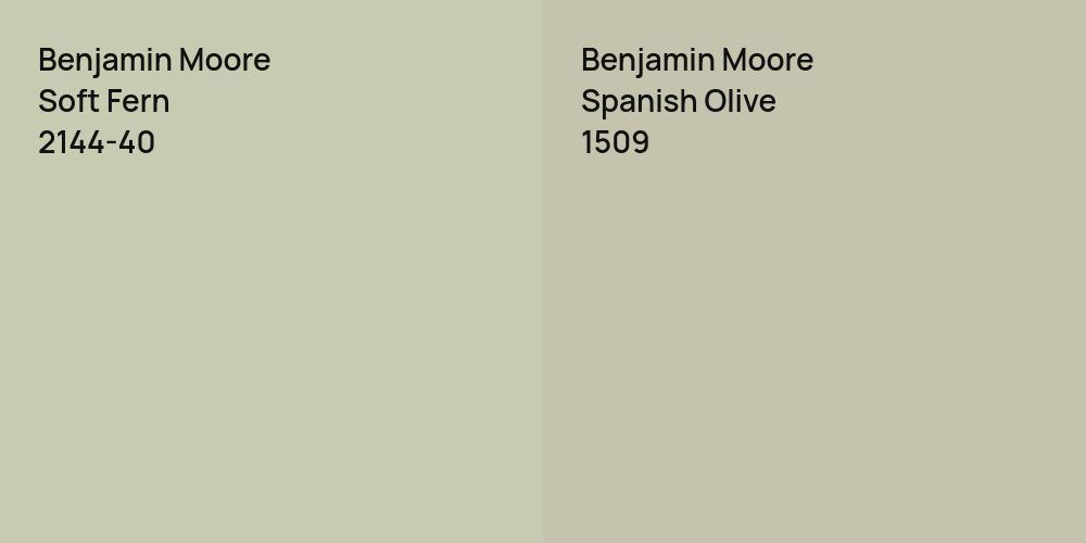 Benjamin Moore Soft Fern vs. Benjamin Moore Spanish Olive