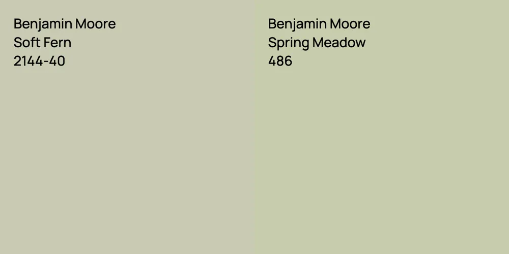 Benjamin Moore Soft Fern vs. Benjamin Moore Spring Meadow