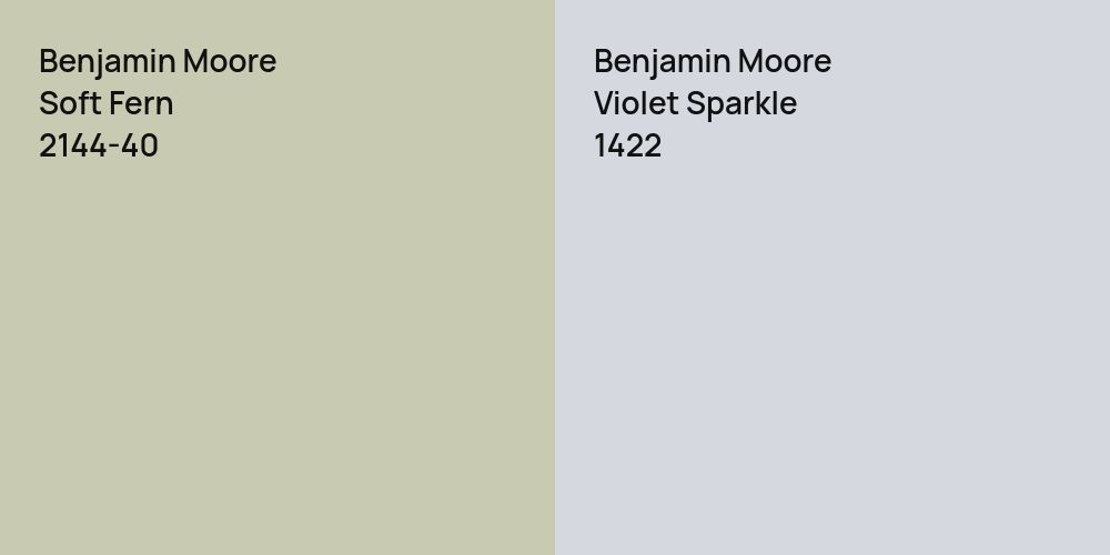 Benjamin Moore Soft Fern vs. Benjamin Moore Violet Sparkle