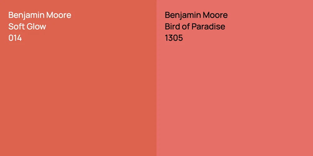 Benjamin Moore Soft Glow vs. Benjamin Moore Bird of Paradise