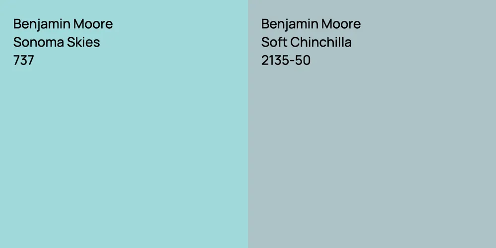 Benjamin Moore Sonoma Skies vs. Benjamin Moore Soft Chinchilla