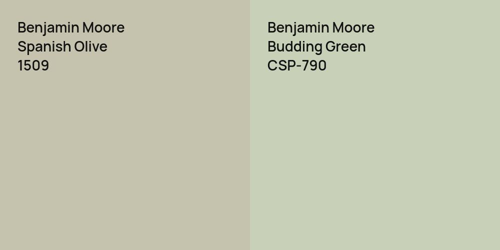 Benjamin Moore Spanish Olive vs. Benjamin Moore Budding Green