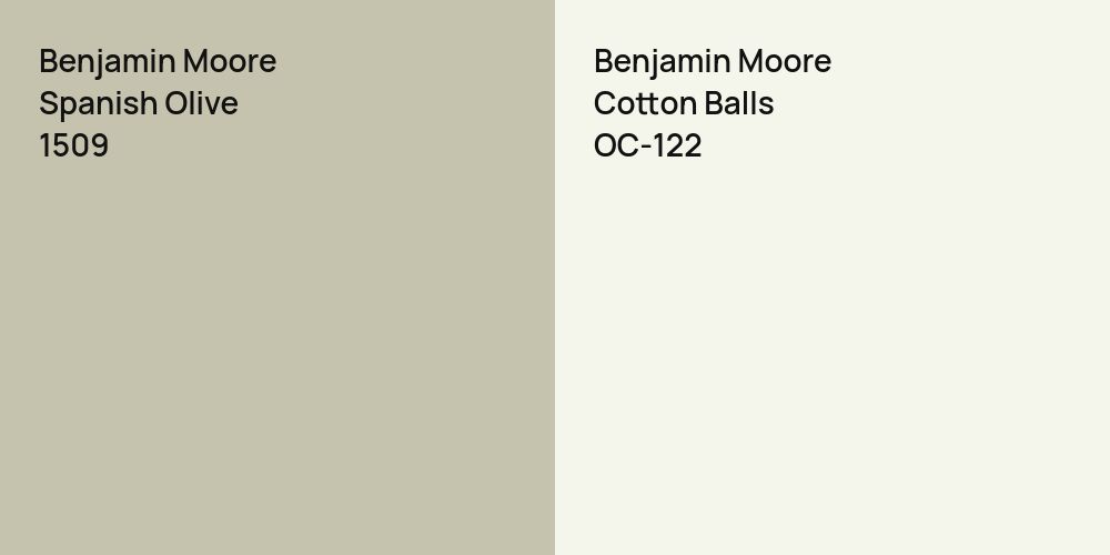 Benjamin Moore Spanish Olive vs. Benjamin Moore Cotton Balls