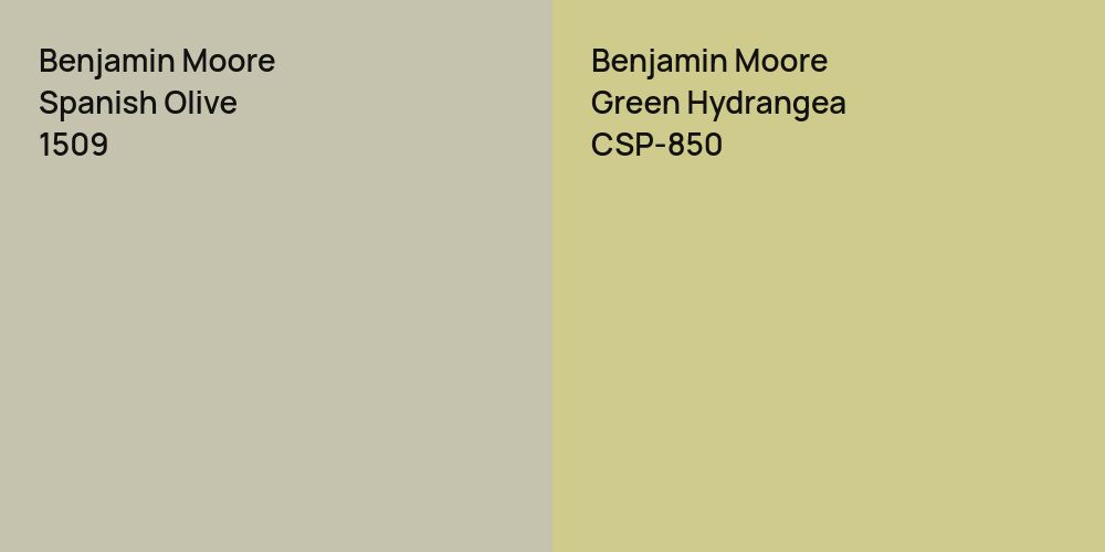 Benjamin Moore Spanish Olive vs. Benjamin Moore Green Hydrangea