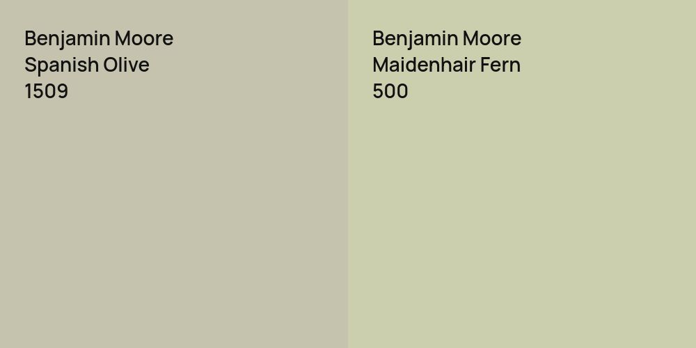 Benjamin Moore Spanish Olive vs. Benjamin Moore Maidenhair Fern