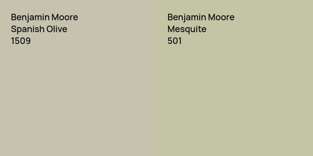 Benjamin Moore Spanish Olive vs. Benjamin Moore Mesquite