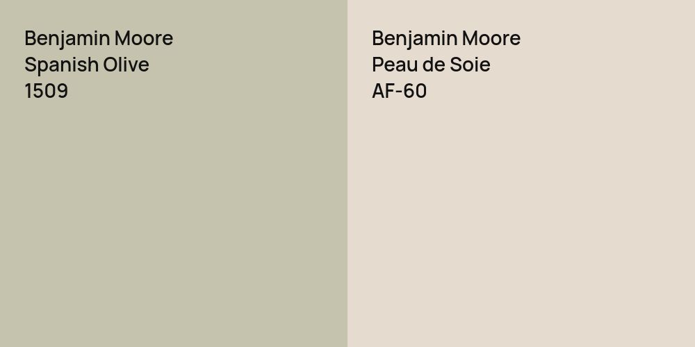 Benjamin Moore Spanish Olive vs. Benjamin Moore Peau de Soie