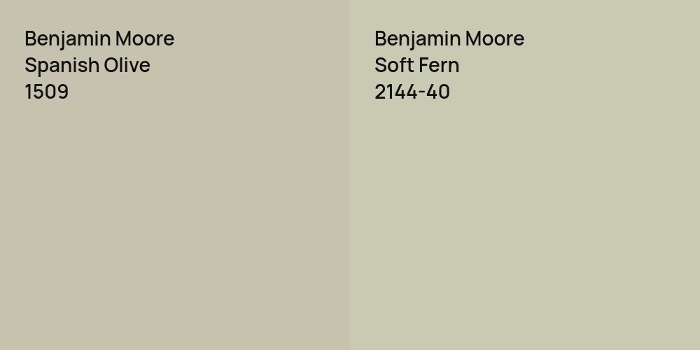 Benjamin Moore Spanish Olive vs. Benjamin Moore Soft Fern