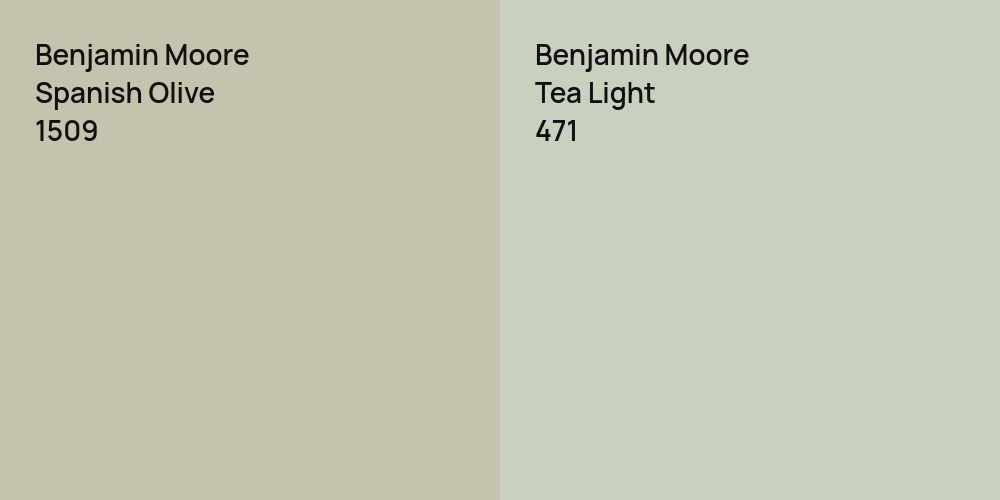 Benjamin Moore Spanish Olive vs. Benjamin Moore Tea Light