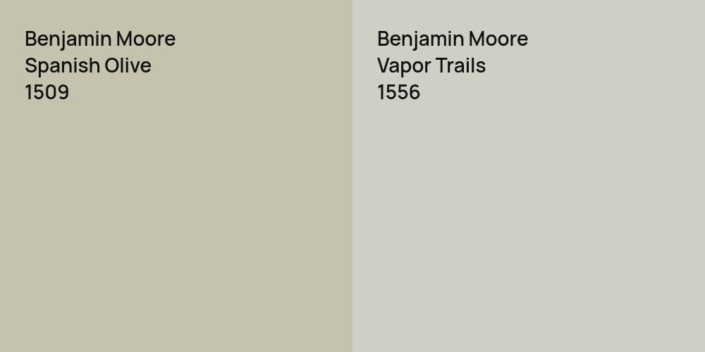 Benjamin Moore Spanish Olive vs. Benjamin Moore Vapor Trails