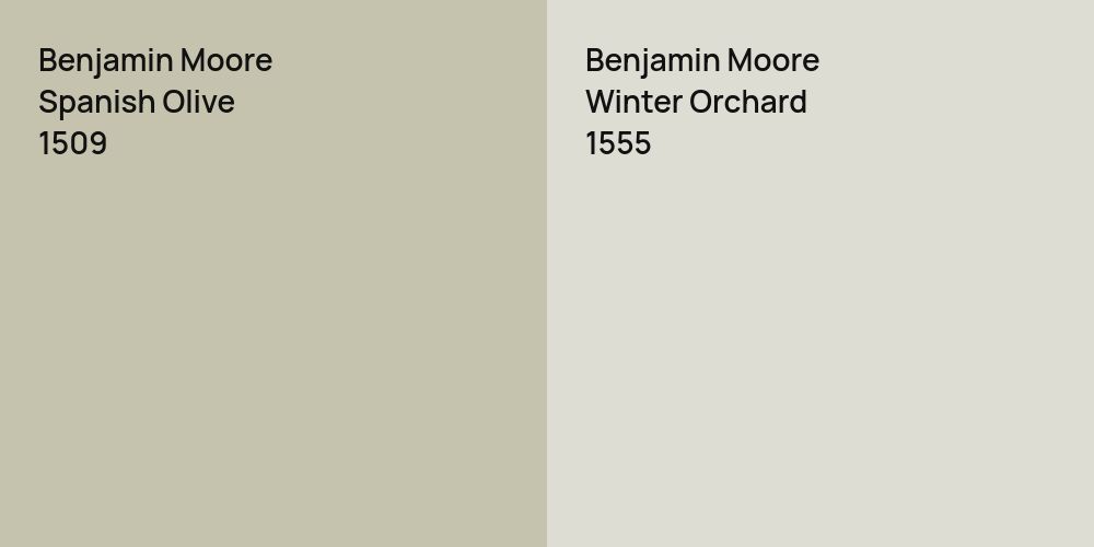 Benjamin Moore Spanish Olive vs. Benjamin Moore Winter Orchard