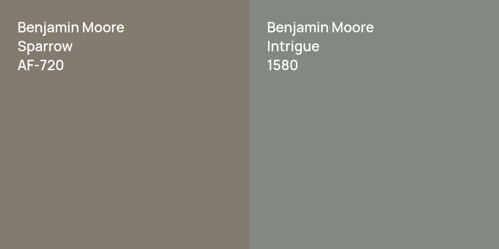 Benjamin Moore Sparrow vs. Benjamin Moore Intrigue