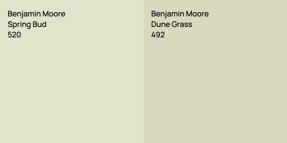 Benjamin Moore Spring Bud vs. Benjamin Moore Dune Grass